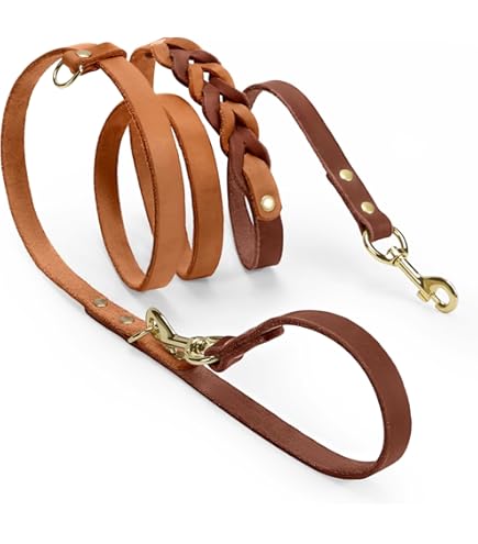 【 Genuine Leather Leash 】 Original Leather Leash - Genuine Canine
